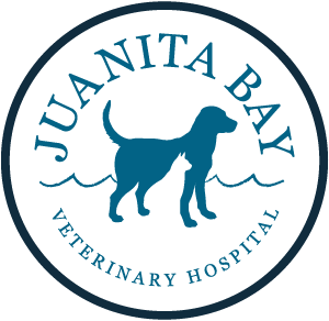Careers - Juanita Bay Veterinary Hospital