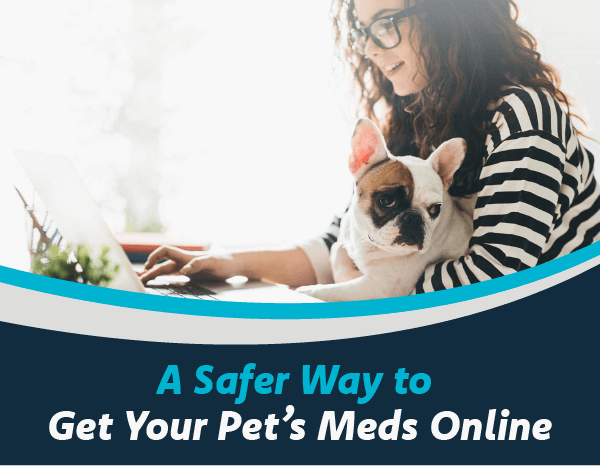 A Safer Way to Get Your Pet’s Meds Online