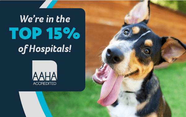 We're in the Top 15% of Hospitals!