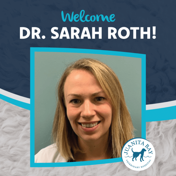 Welcome to the team Dr. Roth!