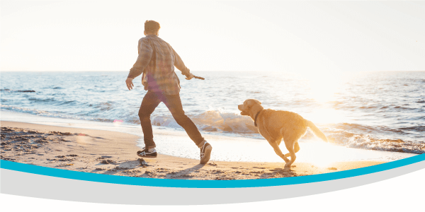 Resolve to Have a Healthier Pet in 2020!