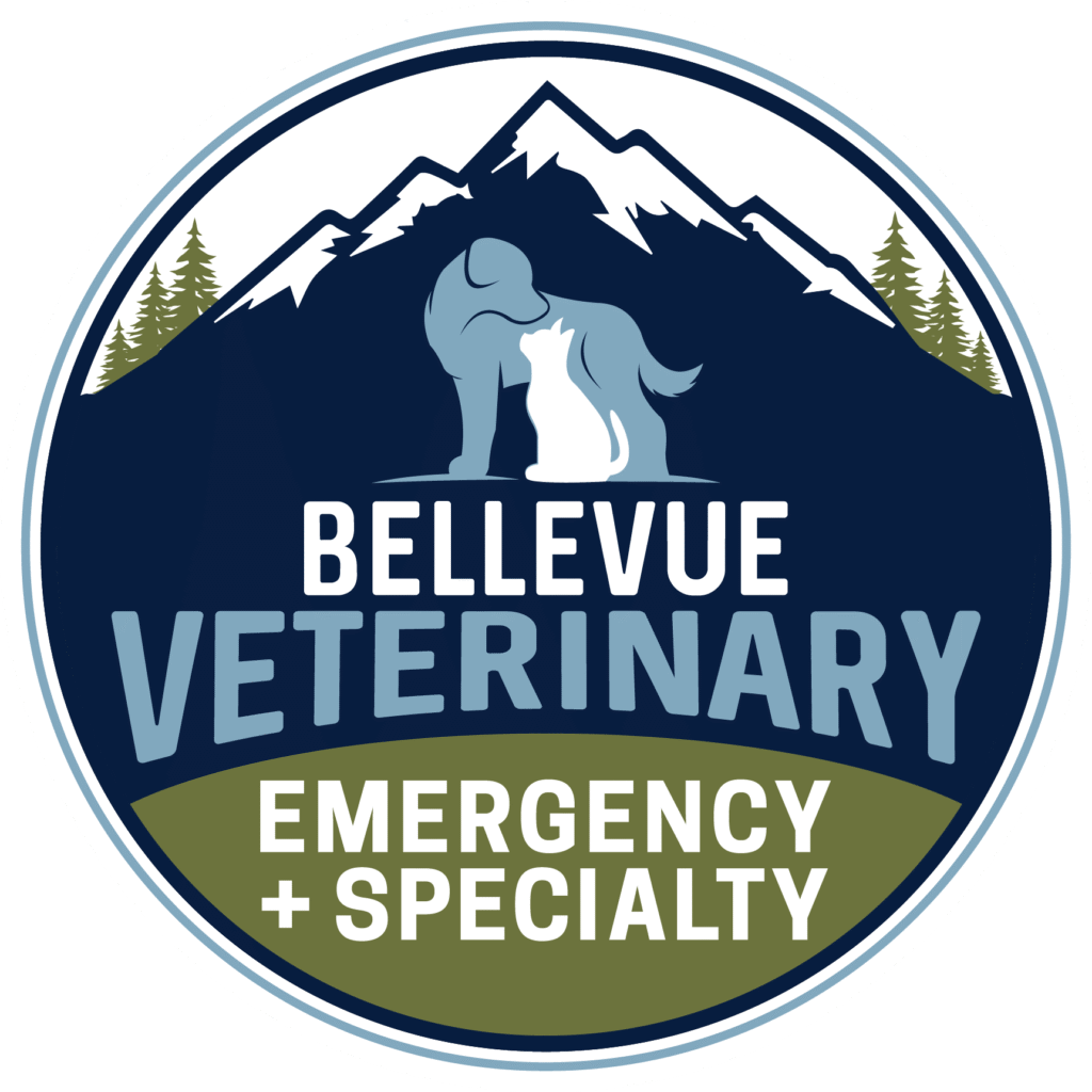 Bellevue Veterinary Emergency & Specialty